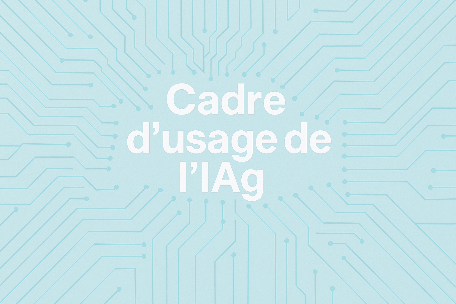 Cadre d'usage IAg