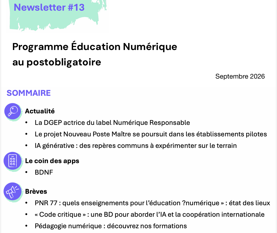 Newsletter #13